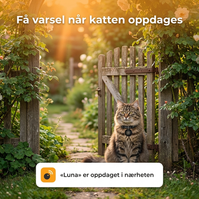 LykkePote™ Sporemirakel-halsbåndet