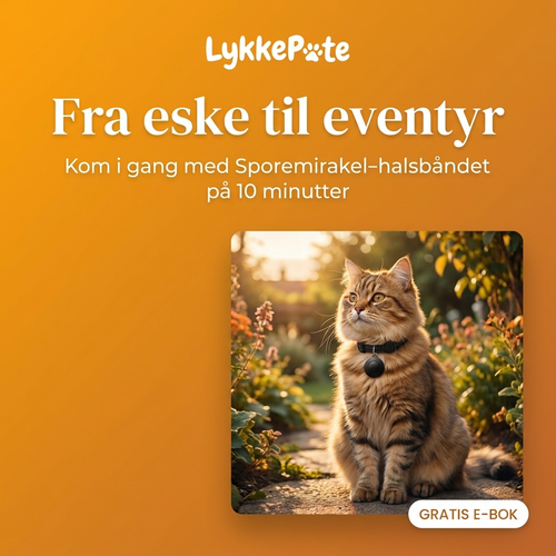 E-Bok Sporemirakel-guiden
